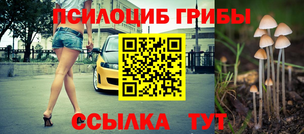 Галлюциногенные грибы мухоморы Мыски