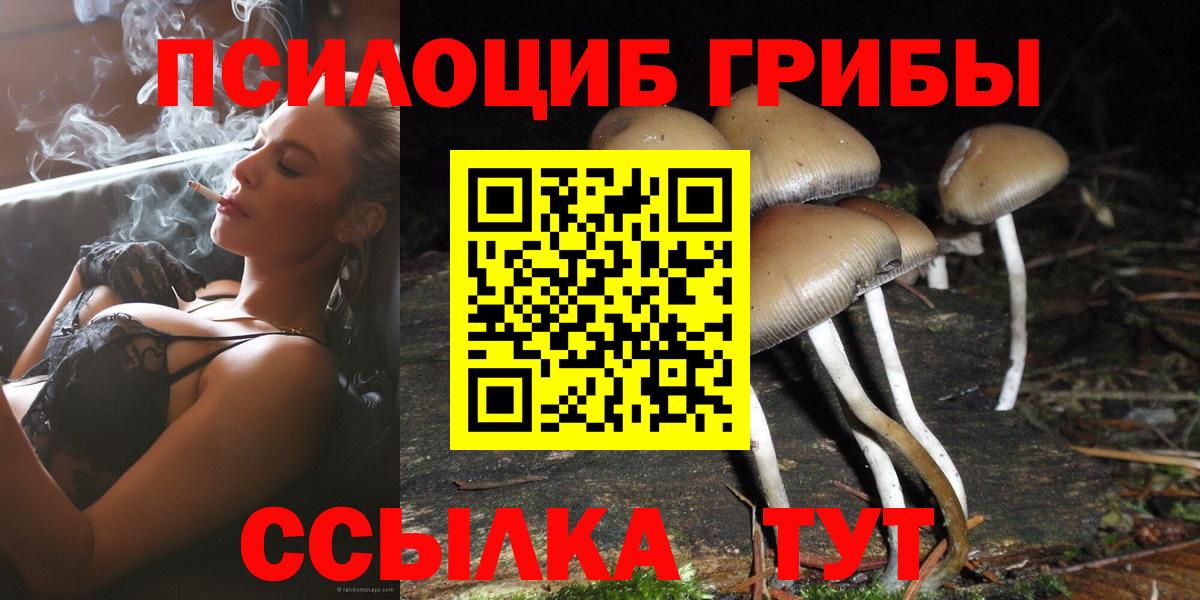 дарнет шоп  Вход с VPN  Мыски  Псилоцибиновые грибы Psilocybe 